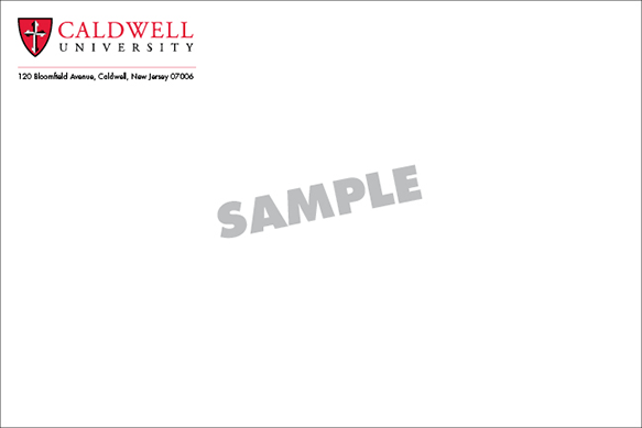 6x9 Generic Envelope - 2 Color